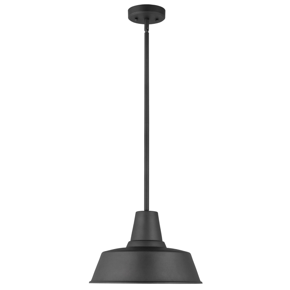 Barn Light One Light Outdoor Pendant